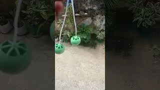 jogo de bate bag