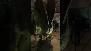Jurassic Quest Giant Dilophosaurus Dinosaur Animatronic