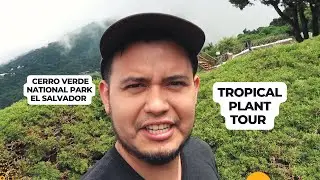 Tour- Cerro Verde National Park: El Salvador