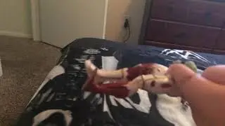 Wwe Toy collection