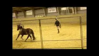 Foredrag ved Maj-Britt Carter