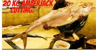 20 kg giant amberjack fish cutting