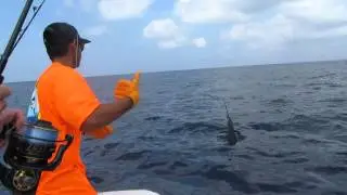 CatchStat | Offshore World Championship Fish #18396