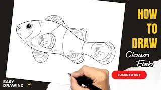 How to draw Clown Fish