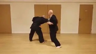 Tekio Cempa Martial Arts: Adapted blocking practice
