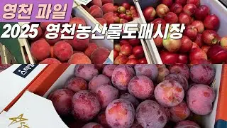 2025 영천농산물도매시장 스타자두, 스타복숭아