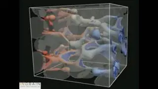 Fractional Flow