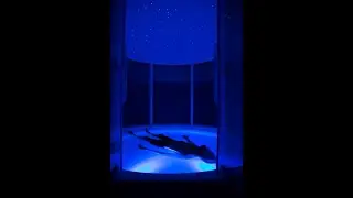 Behind-the-Scenes at Serenity Float & Massage Clinic, Hamilton - Visit 1