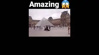 insaano se Adhik dogs Hain Yahan per 😱🙄🤔#shorts #ytshorts #amazing #facts #dog #paris