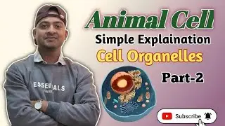 Part of Animal Cell and Their Function | Class 8-10 Science Makes Easy | Cell membrane,Cytoplasm etc
