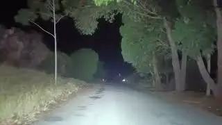 TUESDAY NIGHT DRIVING HOME IN THE RIVERINA NSW AUSTRALIA 🦘