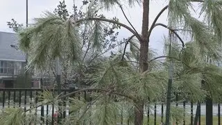 Tomball Police Give Weather Update on Sunday's Freezing Conditions