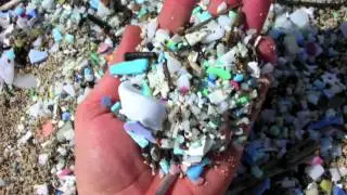 Plastic Trash in Oceans Enters Marine Food Chain