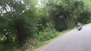 A Ride Through Cauvery Wildlife Sanctuary
