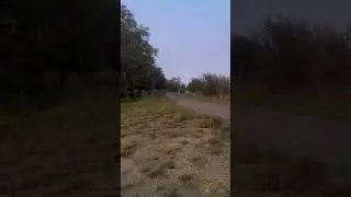 Welsh pit bike 110 fuck about #welshpitbike #￼dirtbike #pitbike