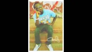 Casfly- A Life in the Day of Casfly