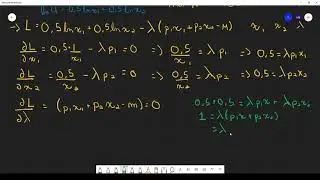 L'optimisation par le multiplicateur de Lagrange