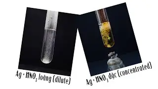 Ag + HNO3. Bạc tác dụng với dung dịch nitric acid loãng và đặc
