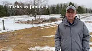 Ticks in January