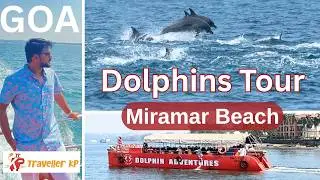Miramar Beach Tourist Places | Dolphin Cruise in Goa | Dolphin Show | Goa Trip vlogs | Traveller KP