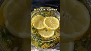 Dandelion Lemonade recipe from our Plant of the Month Club.  #herbalism #dandelions #plantofthemonth