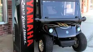 Sun City Golf Carts Inc., Custom Carts, Sun City Center, FL