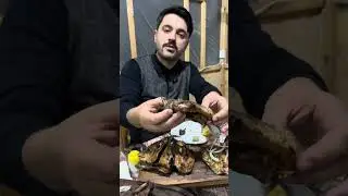 Bele videoların davamı &uuml;&ccedil;&uuml;n zehmet olmazsa abone olub yenenıb yorum yazın 🤗