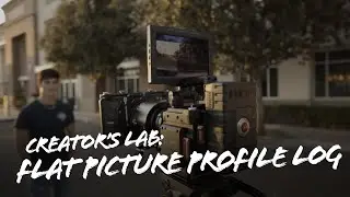 Maximize your video GRADING with Flat Picture Profile Log