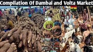 Rural African Village Market In Africa Ghana Compilation Dambai and Volta#africa#market#ghana#rural 