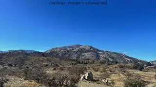 stranger in a strange land - i had to go