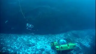 ROV SUPPORT for the NEKTON Mission: First Descent Seychelles (March-April 2019) #seychelles #NEKTON