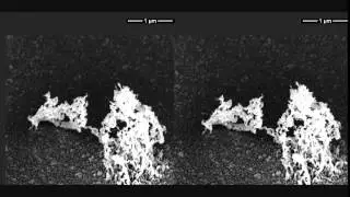 Tungsten nanostructures in fusion energy devices