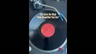 &ldquo;How Beautiful You Are&rdquo; The Cure on 12&rdquo; #dj #cure #80s #vinyl #robertsmith #kiss #me  ⁠⁠ @al7xmusic