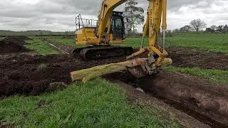 The Diggers Back & A Good Couple Of Days On The Calving Front