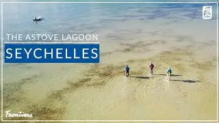 Frontiers in The Field | The Astove Lagoon