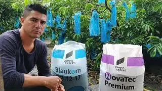 Asi fertilizo mis árboles y cosecho muchas frutas
