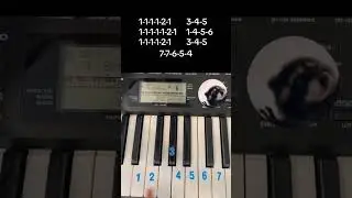 PEDRO PEDRO PIANO TUTORIAL #shorts #pianotutorial #music