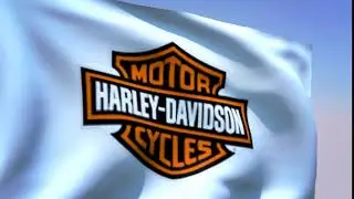 ECHD H D Flag White