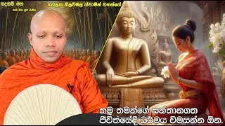 තම තමන්ගේ සන්තානගත ජීවිතයේදී ධර්මය විමසන්න ඕන.2078Ven Hasalaka Seelawimala Thero
