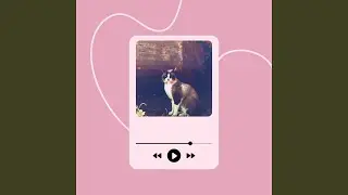 Refined Music for Furry Pet