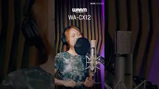 Warm Audio WA-CX12 Microphone Sound #shorts