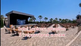 hotel Lonicera premium 5*. Территория и пляж. Турция .Аланья.