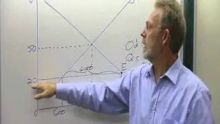 Impact of an import tariff.mp4