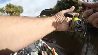 KAYAK BASS FISHING THE IMPERIAL RIVER IN BONITA SPRINGS OUT OF MY 3 WATERS BIG FISH 120. #GOBIGFISH