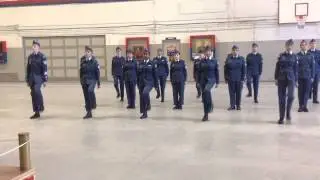 819 North Delta Skyhawk Squadron Drill Team 2014