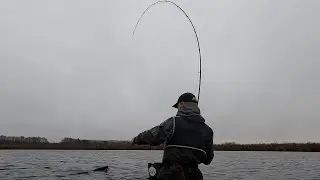 Cheap ass Glass, Fly rod  21 Gedder 2025