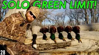 Cold Front Mallards | Duck Hunting 2019