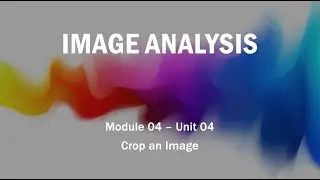 Module 04 - Unit 04: Crop an Image