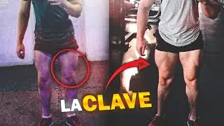 ¿COMO ENTRENAR EL CUADRICEPS? | SECRETOS Y TIPS PARA GANAR MUSCULO EN EL CUADRICEPS