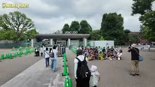 [4K] Tokyo Walk: Exploring Ueno Park in 2025 | Japan 🇯🇵 Travel Guide